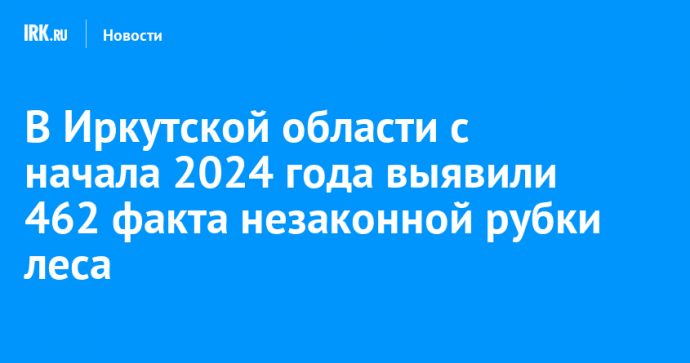В Иркутской области с начала 2024 года выявили 462 факта незаконной рубки леса