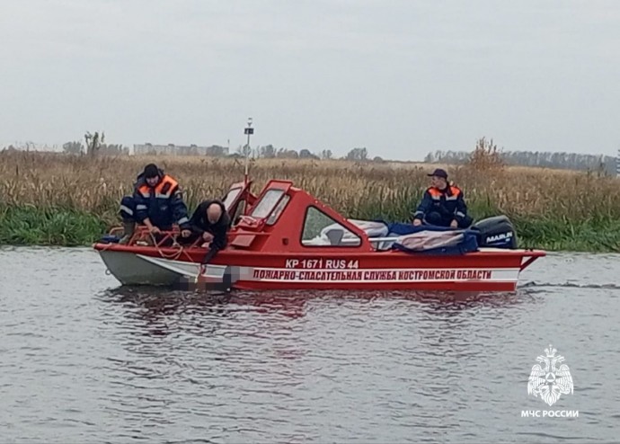 Пропавшего мужчину нашли мертвым под Костромой