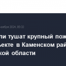 Спасатели тушат крупный пожар на промобъекте в Каменском районе Ростовской области