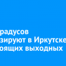 До -5 градусов прогнозируют в Иркутске на предстоящих выходных