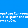 В микрорайоне Солнечный временно закроют площадку для выгула собак