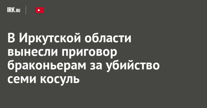 В Иркутской области вынесли приговор браконьерам за убийство семи косуль