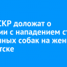 Главе СКР доложат о ситуации с нападением стаи бездомных собак на женщину в Иркутске