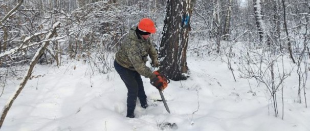 Есть вопрос: как нарубить дров через Госуслуги