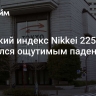 Японский индекс Nikkei 225 открылся ощутимым падением