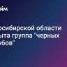 В Новосибирской области раскрыта группа "черных лесорубов"