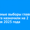 Досрочные выборы главы Тайшета назначили на 2 февраля 2025 года