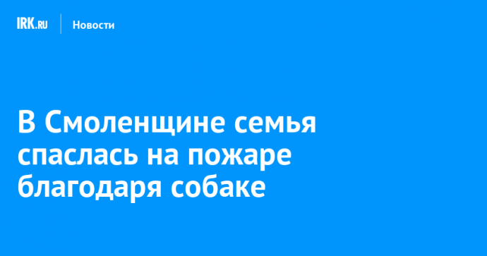 В Смоленщине семья спаслась на пожаре благодаря собаке