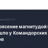 Землетрясение магнитудой 5,5 произошло у Командорских островов