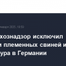 Россельхознадзор исключил поставки племенных свиней из ЕС из-за ящура в Германии