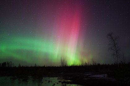 Российский фотограф поехал в степь и запечатлел «зловещее» северное сияние