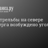 После стрельбы на севере Петербурга возбуждено уголовное дело...