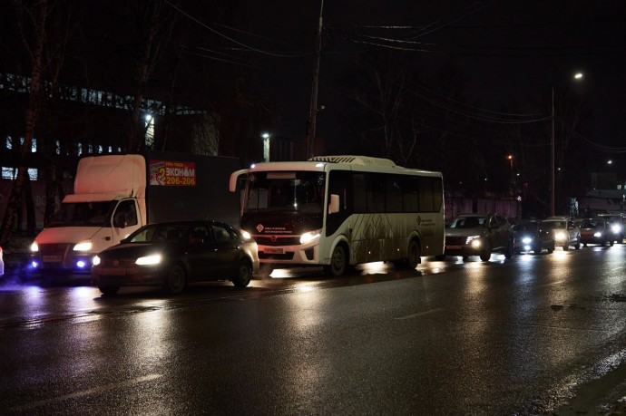 В Пензе на Зеленодольской улице ограничили движение из-за ухода за деревьями