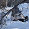 Амурские охотоведы прошли почти тысячу километров и пересчитали зверей и птиц