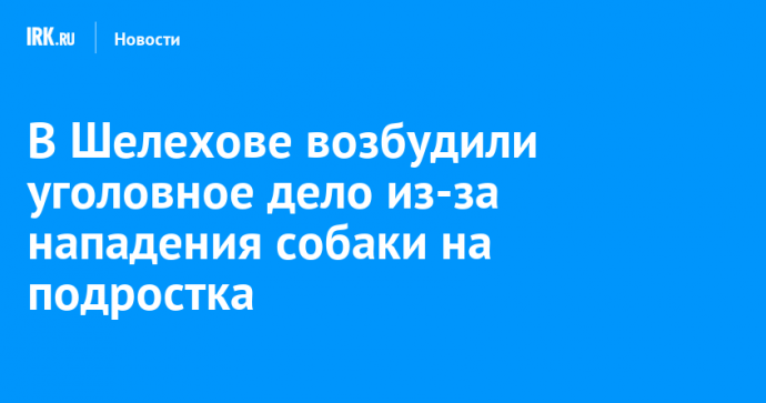 В Шелехове возбудили уголовное дело из-за нападения собаки на подростка