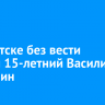 В Иркутске без вести пропал 15-летний Василий Грудинин