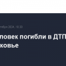 Пять человек погибли в ДТП в Подмосковье