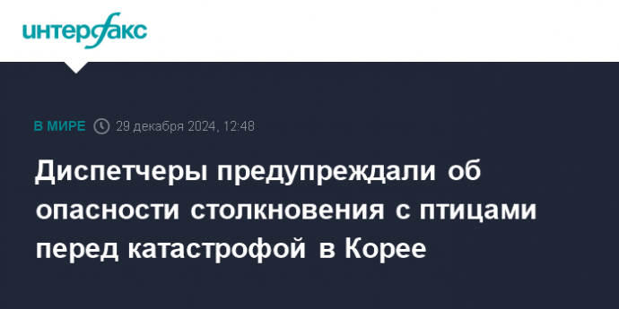 Диспетчеры предупреждали об опасности столкновения с птицами перед катастрофой в Корее