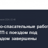 Поисково-спасательные работы на месте ДТП с поездом под Волгоградом завершены