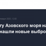 На берегу Азовского моря на Кубани нашли новые выбросы мазута