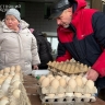 В Белгороде прошла продуктовая ярмарка
