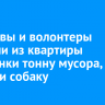 Приставы и волонтеры вывезли из квартиры иркутянки тонну мусора, 14 кошек и собаку