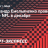 Александр Емельяненко проведет бой в лиге NFL в декабре