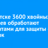 В Иркутске 3600 хвойных деревьев обработают химикатами для защиты от вырубок