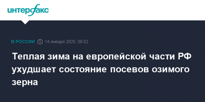 Теплая зима на европейской части РФ ухудшает состояние посевов озимого зерна