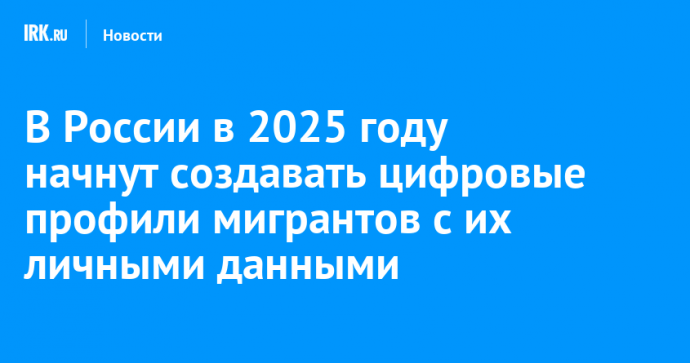 В России в 2025 году начнут создавать цифровые профили мигрантов с их личными данными