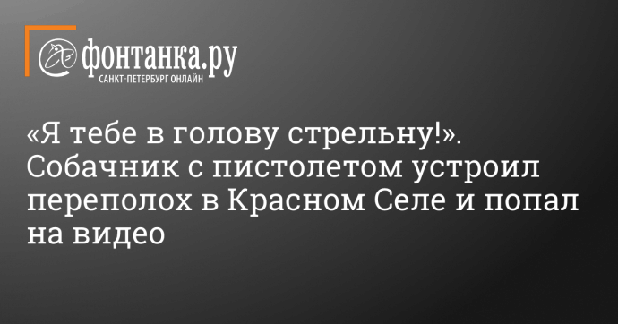 «Я тебе в голову стрельну!». Собачник с пистолетом устроил переполох в Красном Селе и попал на видео