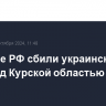 Военные РФ сбили украинский дрон над Курской областью