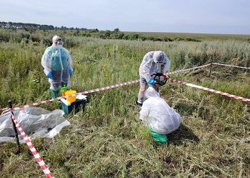 В Приамурье обследовали старые скотомогильники