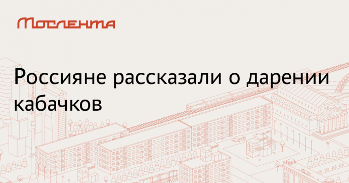 Rambler&Co: россияне чаще дарят кабачки со своего огорода, чем оставляют себе