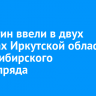 Карантин ввели в двух районах Иркутской области из-за сибирского шелкопряда