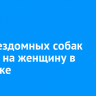 Стая бездомных собак напала на женщину в Иркутске