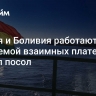 Россия и Боливия работают над проблемой взаимных платежей, заявил посол