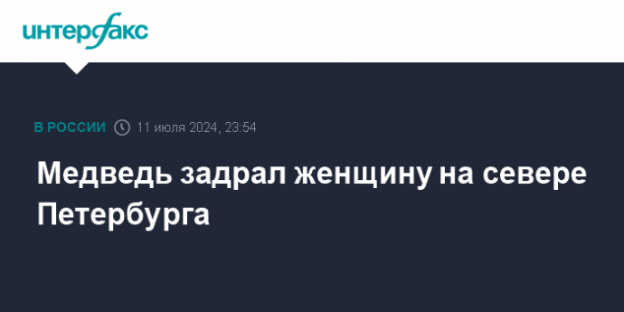 Медведь задрал женщину на севере Петербурга