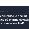 СБ ООН единогласно принял резолюцию об отмене оружейного эмбарго в отношении ЦАР