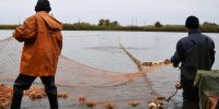 Повышенный сброс воды в астраханские водоемы с гидроузла сохранится на месяц