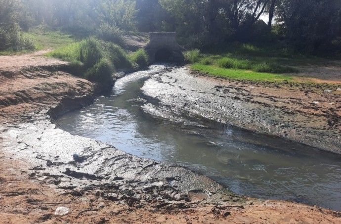 В Старой Руссе в реке Полисть обнаружили сточные воды