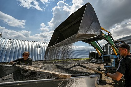 Эрдоган заявил о переговорах по возобновлению зерновой сделки