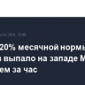 Свыше 20% месячной нормы осадков выпало на западе Москвы менее чем за час