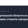 В Свердловской области из-за фейерверка сгорела городская елка