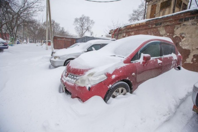 В Приморье высота снежного покрова составляет 30-55 см