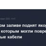 В Финском заливе поднят якорь танкера, которым могли повредить подводные кабели