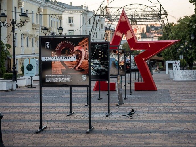 Почётными гражданами Белгорода станут Сергей Сиротенко и Валерий Скруг