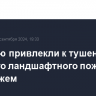 Авиацию привлекли к тушению крупного ландшафтного пожара под Воронежем