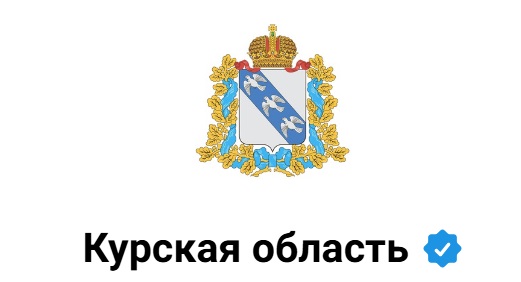 Курская авантюра отдалила перспективы урегулирования конфликта на Украине — Небензя