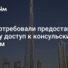 ОАЭ потребовали предоставить Дурову доступ к консульским услугам